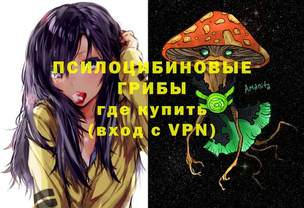 спиды Арсеньев