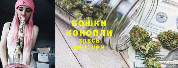 спиды Арсеньев